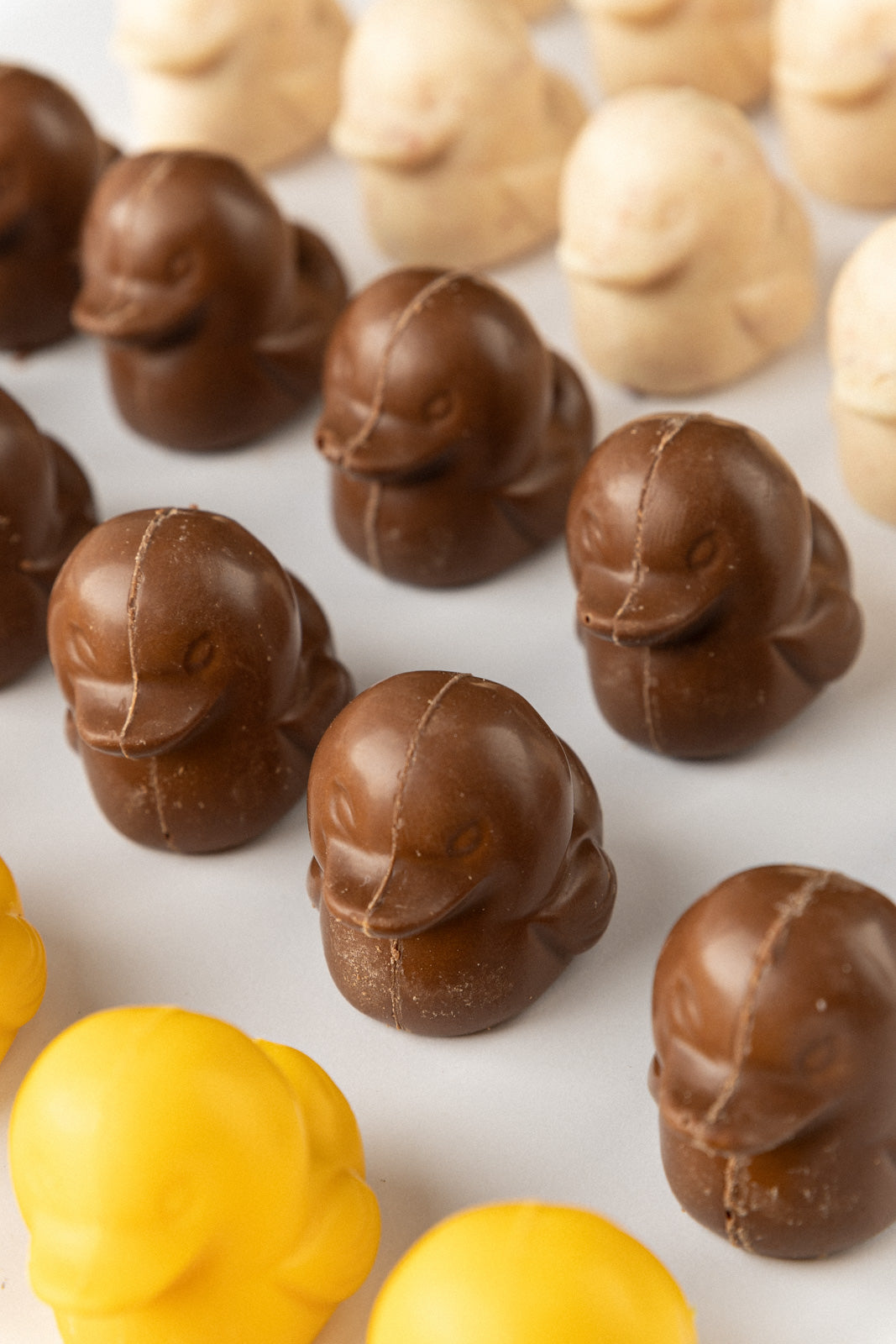 Chocolate duck - Milk Chocolate