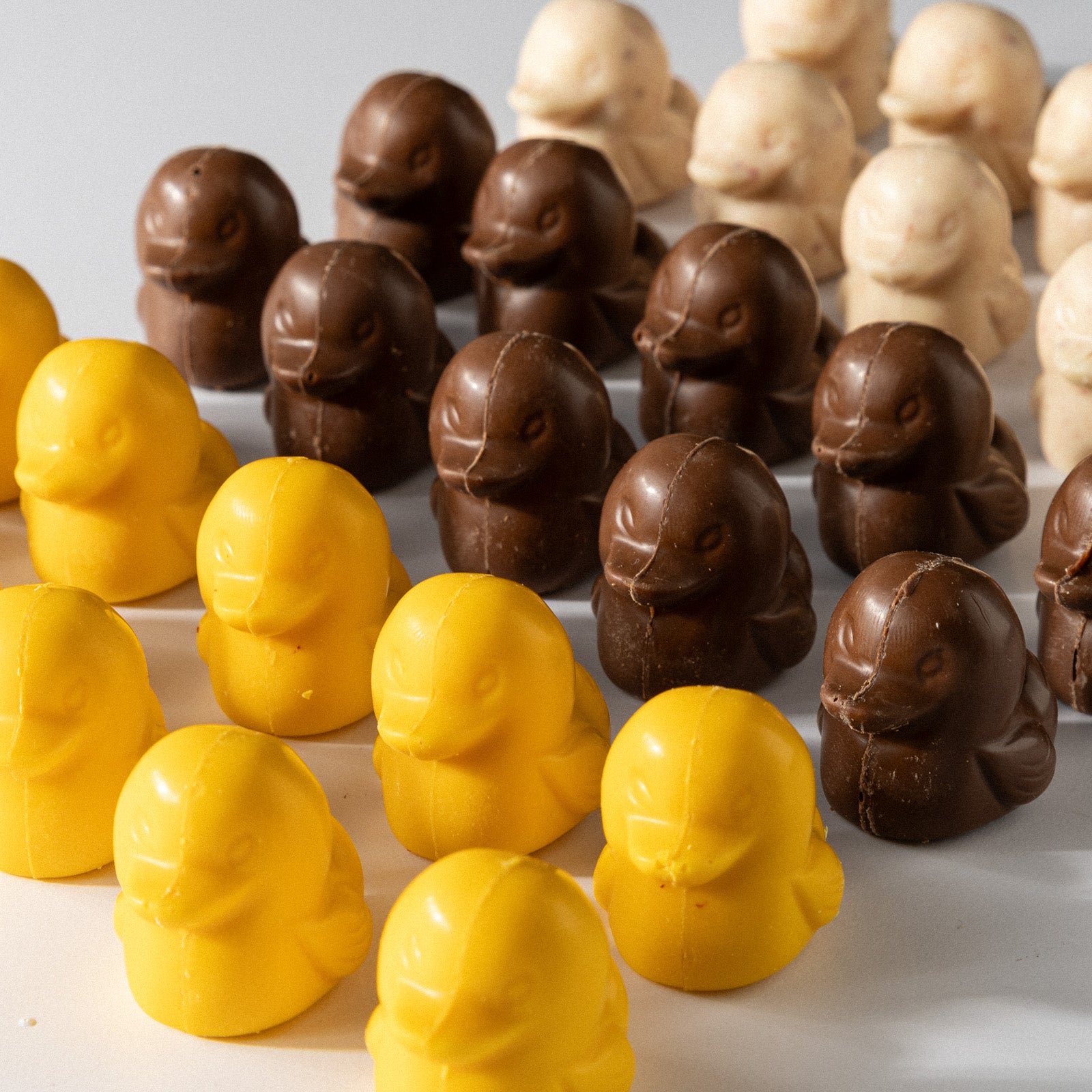 Chocolate duck - Lemon chocolate